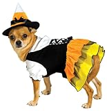 Dog Costumes - Candy Corn Witch Dog Costume Medium Dog