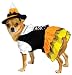 Candy Corn Witch - Dog Halloween Costume