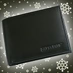 Satyapaul Men's Wallet