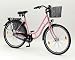 NOSTALGIE Dutch bike for ladies 28 hub dynamo SRAM gear system