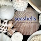 Seashells by Josie Iselin and Sandy Carlson