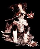 Mammut A30PCFMD - Mini Kratzbild Scraper Kupfer Hund