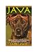 JAVA: The True Story of a Shelter Dog Who Rescued a Woman
