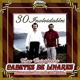 Los Originales Cadetes De Linares Homero Guerrero Y Lupe Tijera 30 Inolvidables