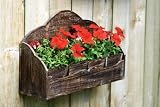 Natural Wooden Planter with Four Square Pots
