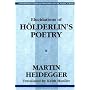 Elucidations in Holderlin's Poetry (Contemporary Studies in Philosophy and the Human Sciences)