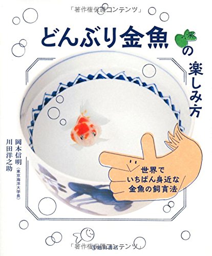 どんぶり金魚の楽しみ方 世界でいちばん身近な金魚の飼育法