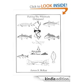 Fishing the Wihittuck (Delaware)