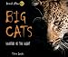 Big Cats: Hunters of the Night (Animals After Dark) (Animals After Dark)