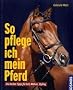 So pflege ich mein Pferd: Die besten Tipps f�r Fell, M�hne, Styling