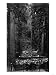 Crowds Gathered for a Concert - Bohemian Grove, CA Giclee Poster Print, 18x24