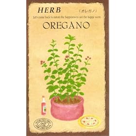 �y��q�z�I���K�m [0816]