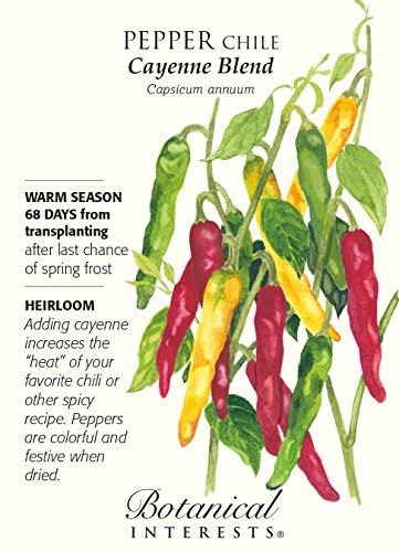 Cayenne Blend Hot Pepper Seeds - 200 mg - Hot Cayenne Blend Hot Pepper Seeds - 200 mg - Hot