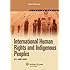 International Human Rights and Indigenous Peoples (Elective Series)