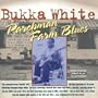 Parchman Farm Blues
