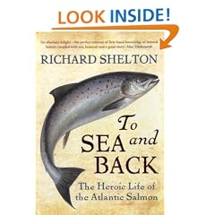 To Sea and Back: The Heroic Life of the Atlantic Salmon