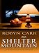 Shelter Mountain (Virgin River, Book 2)