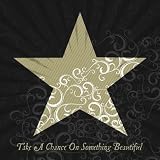 Take a Chance on Something Beautiful