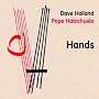 Hands ~ Pepe Habichuela