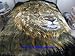 Korean Style Queen Blanket Big Lion