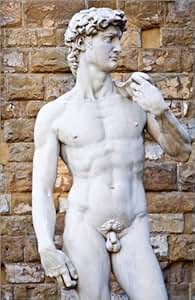 Canvas print 40 x 60 cm: Copy of Michelangelo's Statue of David at Palazzo Vecchio by Rob Tilley / Danita Delimont - ready-to-hang wall picture, stretched on canvas frame, printed image on pure canvas fabric, canvas print