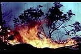Cause of land pollution - DVDs from Amazon