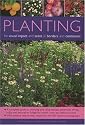 Planting for Visual Impact and Scent in Borders and Containers