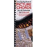 gig bag book of picture chords for all guitarists in color gig bag books