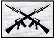 M16 Crossed Rifles Iron-On Patch Embroidered Military Bayonets Emblem 2nd Amendment Flag