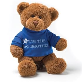  Gund Im The Big Brother Message 12 inch Bear Plush