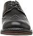 IZOD Men's Carey Oxford