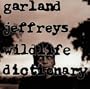 Wildlife Dictionary