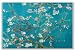 Almond Blossom Branches San Remy 1890 by Vincent Van Gogh 36x24 Art Print Poster