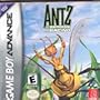 Antz Racing