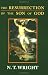 The Resurrection of the Son of God (Christian Origins and the Question of God, Vol. 3)