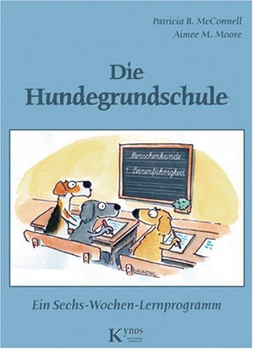 Lernprogramm
