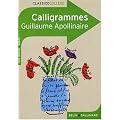 Calligrammes: Po�mes de la paix et de la guerre (1913-1916)