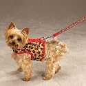 Safari Harness Vest Dog Puppy Clothes SM by Zack & Zoey