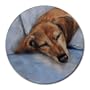 Red Dachshund Dog Mouse Pad SM Violano Puppy Art