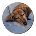 dachshund20 - Red Dachshund Dog Mouse Pad SM Violano Puppy