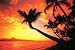 Hawaiian Sunset (Ocean & Palm Trees) Framed Art Poster Print - 24" X 36"