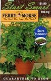 Ferry-Morse 2021 Oregano Seeds (180 Milligram Packet)
