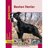 Boston Terrier.