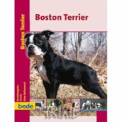 Boston Terrier.