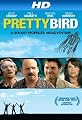 Pretty Bird