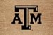 Texas A&M Flocked Door Mat