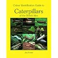 Colour Identification Guide to Caterpillars of the British Isles: Macrolepidoptera (Reprint Edition)