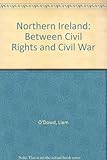 Northern Ireland : between the civil rights and civil war
