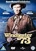 Winchester '73 [DVD] [1950]
