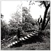 Timber Timbre (2CD Ltd)